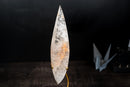 Clear Quartz Crystal Pointy Flame Sculpture – Natural Quartz with Hematite - E2D Crystals & Minerals