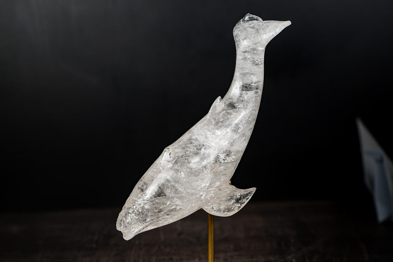 Hand - Carved Clear Quartz Humpback Whale Sculpture - E2D Crystals & Minerals
