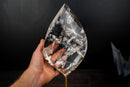 AAA - Grade Water - Clear Lemurian Crystal Quartz Flame Sculpture - E2D Crystals & Minerals