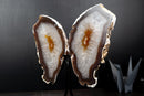 Agate Butterfly Wings with Deep - Amber Agate and Crystal Interior - E2D Crystals & Minerals