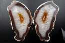 Agate Butterfly Wings with Deep - Amber Agate and Crystal Interior - E2D Crystals & Minerals