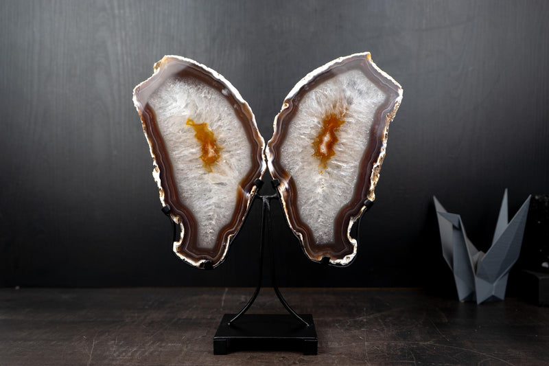 Agate Butterfly Wings with Deep - Amber Agate and Crystal Interior - E2D Crystals & Minerals