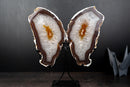 Agate Butterfly Wings with Deep - Amber Agate and Crystal Interior - E2D Crystals & Minerals