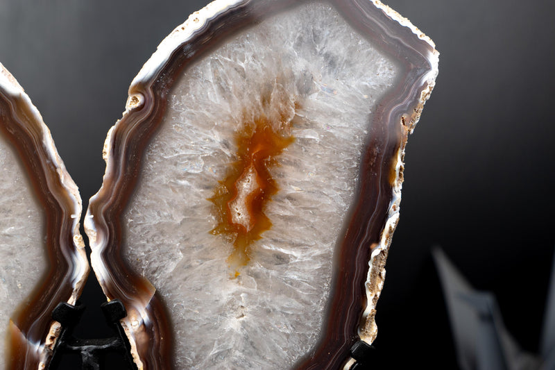 Agate Butterfly Wings with Deep - Amber Agate and Crystal Interior - E2D Crystals & Minerals