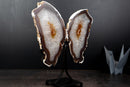 Agate Butterfly Wings with Deep - Amber Agate and Crystal Interior - E2D Crystals & Minerals