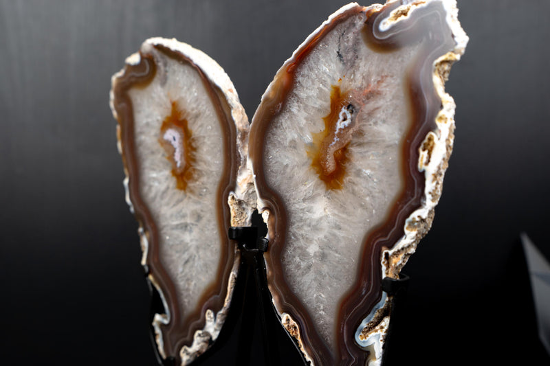 Natural Agate Slices Set as Butterfly Wings Sculpture - E2D Crystals & Minerals