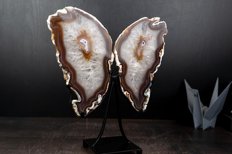 Natural Agate Slices Set as Butterfly Wings Sculpture - E2D Crystals & Minerals