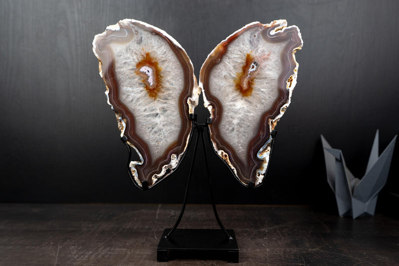Natural Agate Slices Set as Butterfly Wings Sculpture - E2D Crystals & Minerals
