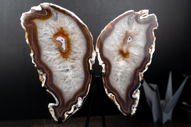 Natural Agate Slices Set as Butterfly Wings Sculpture - E2D Crystals & Minerals