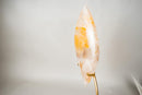 XL 27 - Inch Golden Healer (Hematoid) Quartz Flame Sculpture - E2D Crystals & Minerals