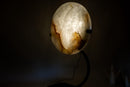 Clear Quartz Crystal Lamp with Hematite Inclusions – “Full Moon” Round Accent Light - E2D Crystals & Minerals