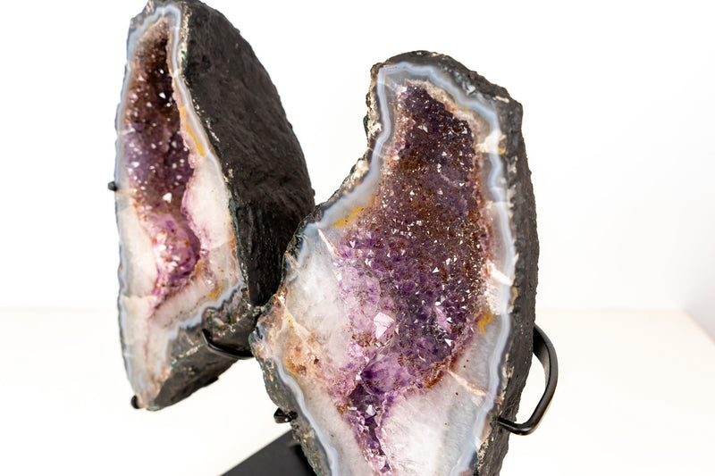 Natural Agate with Amethyst Butterfly Geode Wings – Gorgeous Lavender Amethyst with Golden Goethite Inclusions - 33.5 lb - E2D Crystals & Minerals