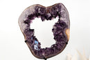 AAA - Grade Amethyst Geode Portal – Large Deep Purple Crystals on Custom - Made Stand, Collector’s Display Piece - 29 Lb. - E2D Crystals & Minerals