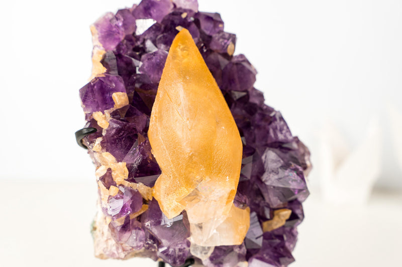Rare Golden Yellow Calcite Specimen on Deep Purple Amethyst Cluster – Collector's Gemmy Golden Calcite - 4.0 Kg - 8.7 lb - E2D Crystals & Minerals