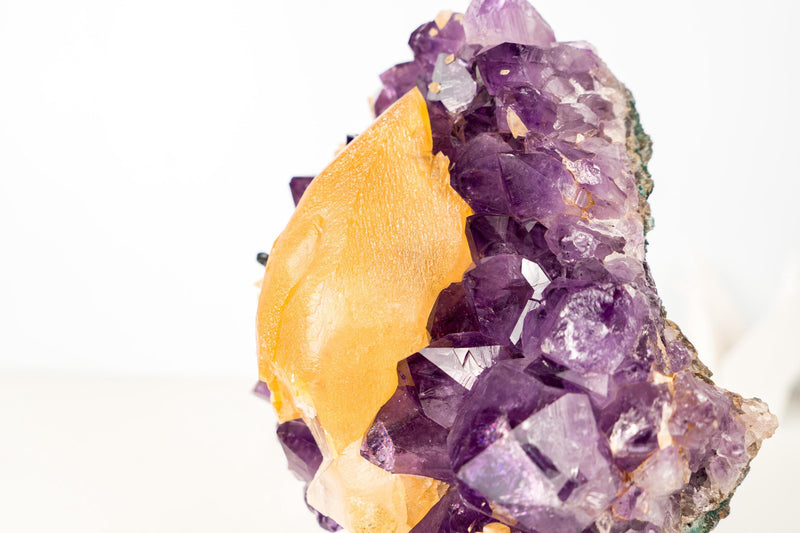 Rare Golden Yellow Calcite Specimen on Deep Purple Amethyst Cluster – Collector's Gemmy Golden Calcite - 4.0 Kg - 8.7 lb - E2D Crystals & Minerals