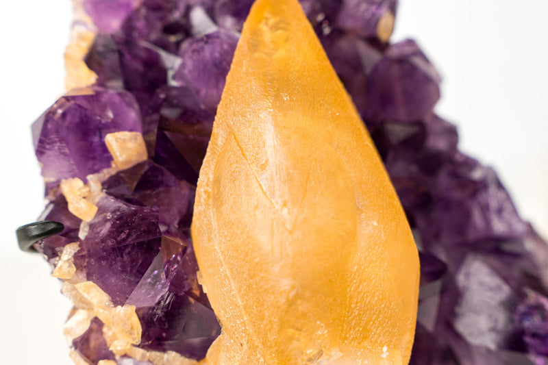Rare Golden Yellow Calcite Specimen on Deep Purple Amethyst Cluster – Collector's Gemmy Golden Calcite - 4.0 Kg - 8.7 lb - E2D Crystals & Minerals