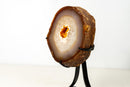 Rare Lace Agate Geode with Natural Yellow Galaxy Druzy - All - Natural, for Agate Collectors - 8 Lb. - E2D Crystals & Minerals