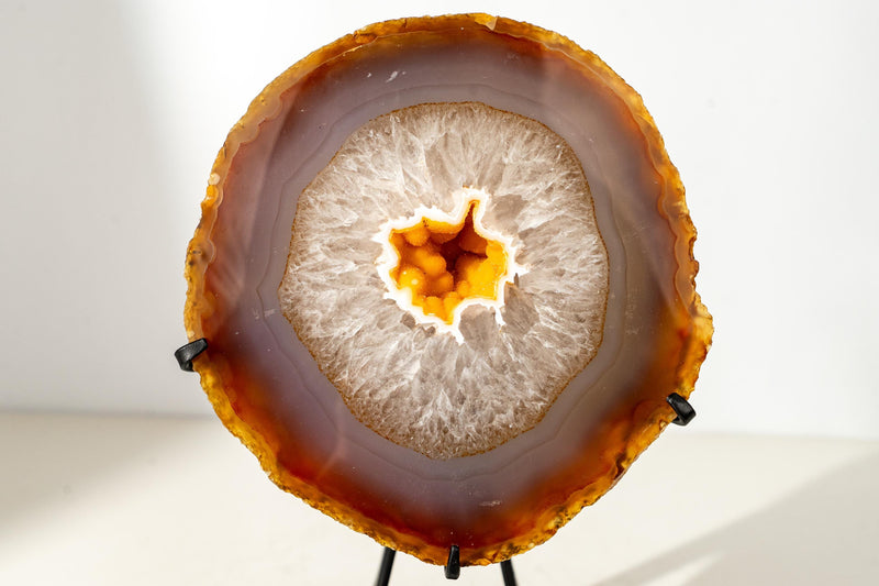 Rare Yellow Lace Agate Geode with Golden Galaxy Druzy – 100% Natural Collector’s Specimen from Brazil - 6.5 Lb. - E2D Crystals & Minerals