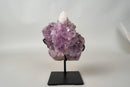 The Unicorn – Rare Amethyst Flower with Calcite Crystal Inclusion | Natural & Ethical - 3 Lb. - E2D Crystals & Minerals