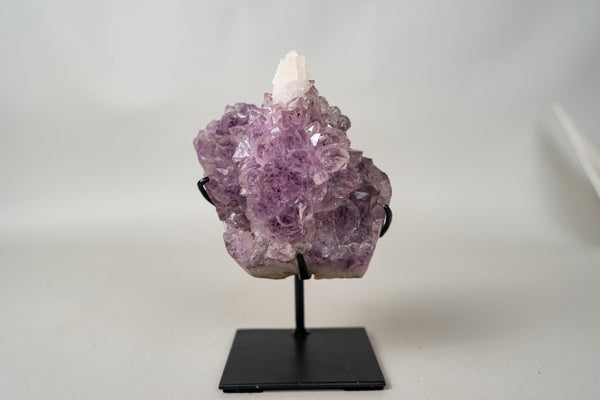 The Unicorn – Rare Amethyst Flower with Calcite Crystal Inclusion | Natural & Ethical - 3 Lb. - E2D Crystals & Minerals