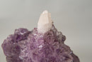 The Unicorn – Rare Amethyst Flower with Calcite Crystal Inclusion | Natural & Ethical - 3 Lb. - E2D Crystals & Minerals