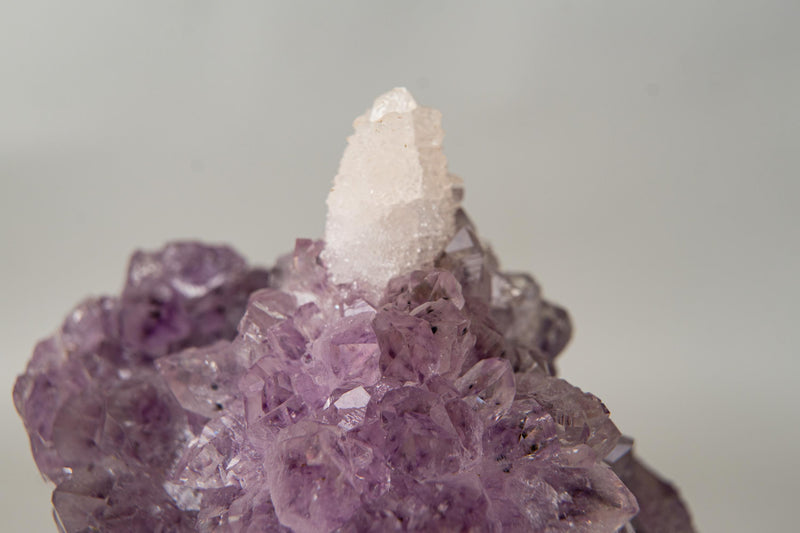 The Unicorn – Rare Amethyst Flower with Calcite Crystal Inclusion | Natural & Ethical - 3 Lb. - E2D Crystals & Minerals