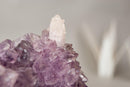 The Unicorn – Rare Amethyst Flower with Calcite Crystal Inclusion | Natural & Ethical - 3 Lb. - E2D Crystals & Minerals