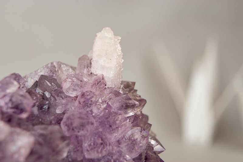 The Unicorn – Rare Amethyst Flower with Calcite Crystal Inclusion | Natural & Ethical - 3 Lb. - E2D Crystals & Minerals