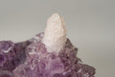 The Unicorn – Rare Amethyst Flower with Calcite Crystal Inclusion | Natural & Ethical - 3 Lb. - E2D Crystals & Minerals