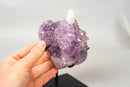 The Unicorn – Rare Amethyst Flower with Calcite Crystal Inclusion | Natural & Ethical - 3 Lb. - E2D Crystals & Minerals