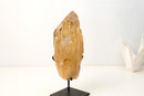 Gorgeous Natural Citrine Crystal Quartz with Elestial and Lemurian Lines – Honey Citrine Color, From Araçuaí, Brazil - 5.3 Lb. - E2D Crystals & Minerals