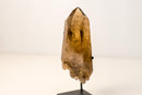 Small Genuine Natural Citrine Crystal – Bi - Terminated Water - Clear Honey - Orange Quartz Specimen - 785g - 1.7 lb - E2D Crystals & Minerals