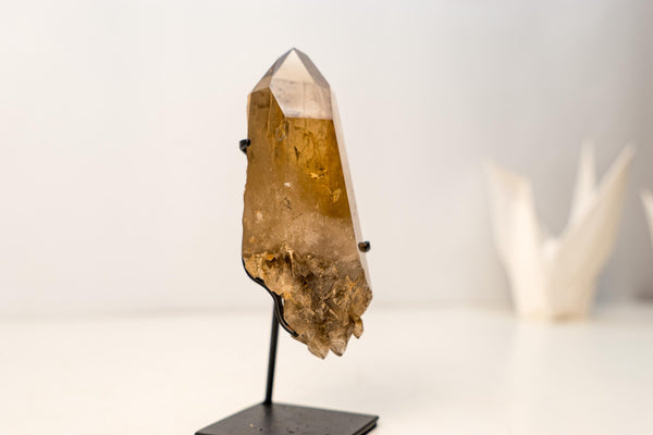 Small Genuine Natural Citrine Crystal – Bi - Terminated Water - Clear Honey - Orange Quartz Specimen - 785g - 1.7 lb - E2D Crystals & Minerals