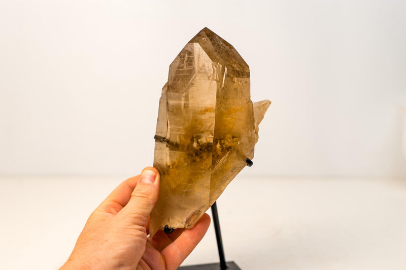 Genuine Citrine Floater Crystal – Water - Clear Honey - Orange Quartz Specimen - 3.3 Lb. - E2D Crystals & Minerals