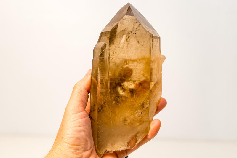 Genuine Citrine Floater Crystal – Water - Clear Honey - Orange Quartz Specimen - 3.3 Lb. - E2D Crystals & Minerals