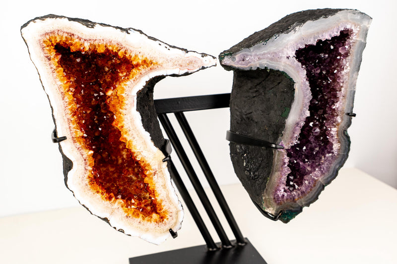 Citrine & Amethyst Geode Wings – Natural Bookmatched Pair on Custom Metal Stand - Ethically Sourced, 49 Lb. - E2D Crystals & Minerals