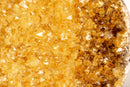 Extra Large Citrine Heart – 61 lb Natural Orange Druzy Crystal, Statement Home Décor Piece - E2D Crystals & Minerals