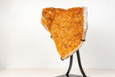 Large Sculptural Citrine Cluster with Micro Calcite Inclusions and Sparkly Points on Custom Stand – Natural Statement Décor - 20x15 In. - E2D Crystals & Minerals