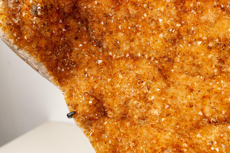 Large Sculptural Citrine Cluster with Micro Calcite Inclusions and Sparkly Points on Custom Stand – Natural Statement Décor - 20x15 In. - E2D Crystals & Minerals