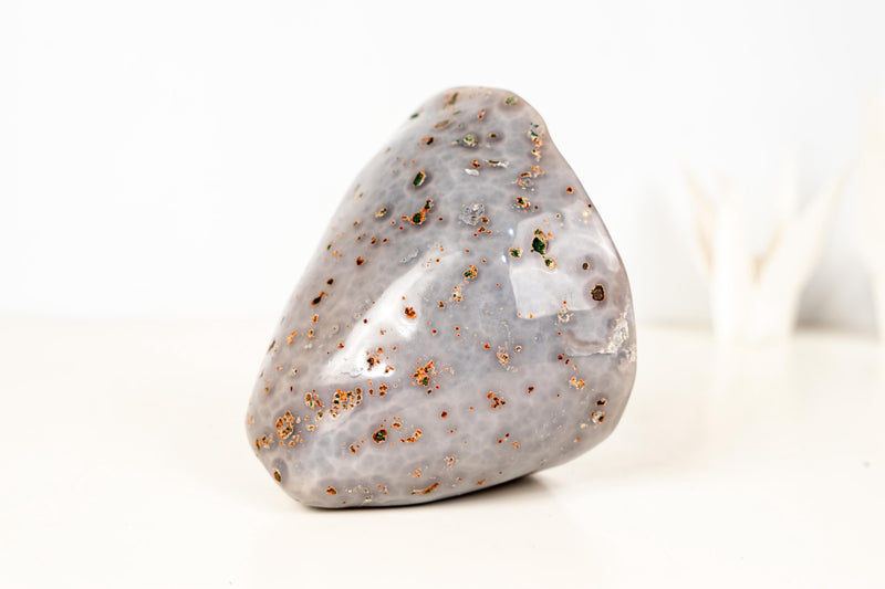 Small Agate Geode with World - Class Blue Banded Agate and Blue Galaxy Druzy, Ethically Sourced - 1.8 Kg - 4.0 lb - E2D Crystals & Minerals