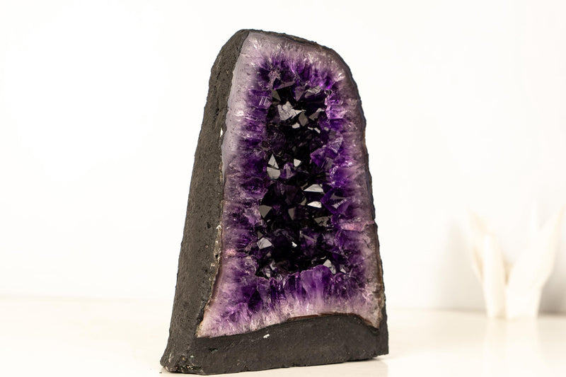 AAA - Grade Amethyst Geode with Deep Purple Druzy Crystals – Natural Small Amethyst, 5.3 kg / 11.7 lb - E2D Crystals & Minerals