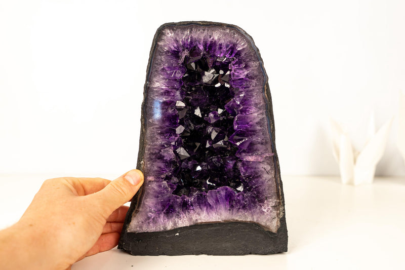 AAA - Grade Amethyst Geode with Deep Purple Druzy Crystals – Natural Small Amethyst, 5.3 kg / 11.7 lb - E2D Crystals & Minerals