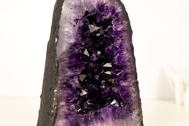 AAA - Grade Amethyst Geode with Deep Purple Druzy Crystals – Natural Small Amethyst, 5.3 kg / 11.7 lb - E2D Crystals & Minerals