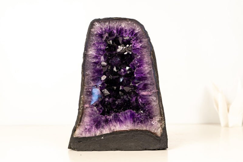 AAA - Grade Amethyst Geode with Deep Purple Druzy Crystals – Natural Small Amethyst, 5.3 kg / 11.7 lb - E2D Crystals & Minerals