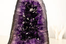 AAA - Grade Amethyst Geode with Deep Purple Druzy Crystals – Natural Small Amethyst, 5.3 kg / 11.7 lb - E2D Crystals & Minerals