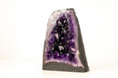 AAA - Grade Amethyst Geode with Deep Purple Druzy Crystals – Natural Small Amethyst, 4.3 kg / 10 lb - E2D Crystals & Minerals