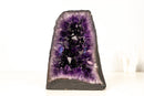 AAA - Grade Amethyst Geode with Deep Purple Druzy Crystals – Natural Small Amethyst, 4.3 kg / 10 lb - E2D Crystals & Minerals
