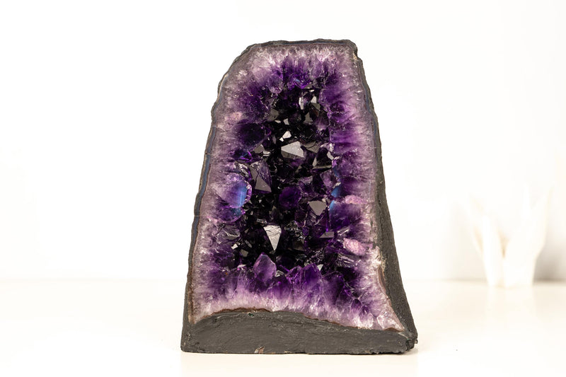 AAA - Grade Amethyst Geode with Deep Purple Druzy Crystals – Natural Small Amethyst, 4.3 kg / 10 lb - E2D Crystals & Minerals