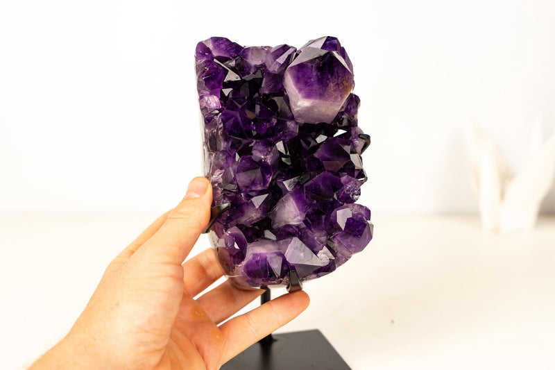 Gallery - Grade Amethyst Cluster with Large Terminated Point – AAA Grape Jelly Amethyst from Brazil, 5 lb. - E2D Crystals & Minerals