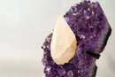 UV - Reactive Calcite on Brazilian Purple Amethyst Cluster – Natural Pristine 6.4 lb Collector Display - E2D Crystals & Minerals